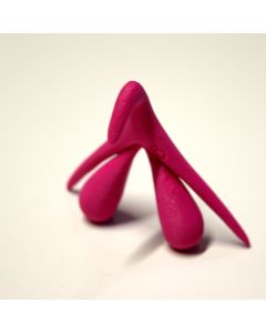 1 Clitoris en 3D by BonbonRose