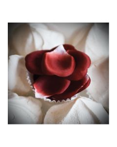 Bijoux Indiscrets Petits Bonbons Rose petal explosion 